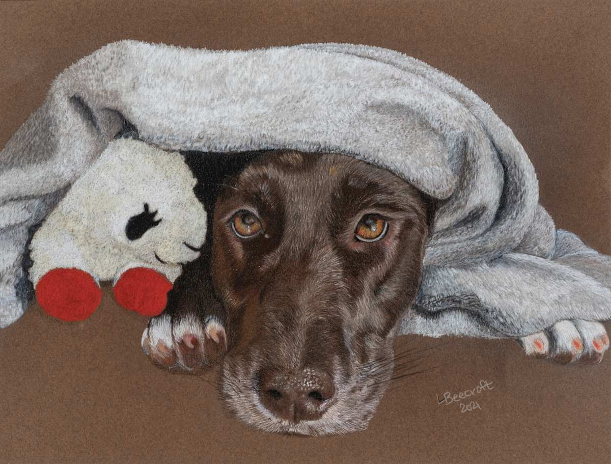 Nap Time, Image 6.