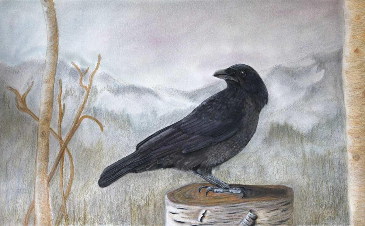 Murder She Drew - Solitary, Image 3.