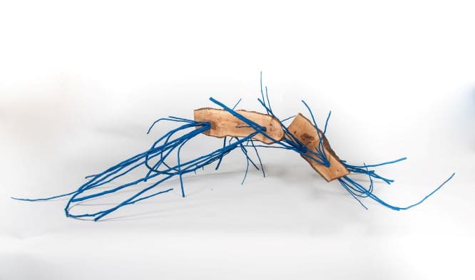 Adaxka by Alexandra Harley  Image: Two highly-polished uneven planks are lifted off the ground by delicate lengths of painted wood. The raw sticks have a collective strength, gathered from a broad spread, forced and constricted through openings in the boards.