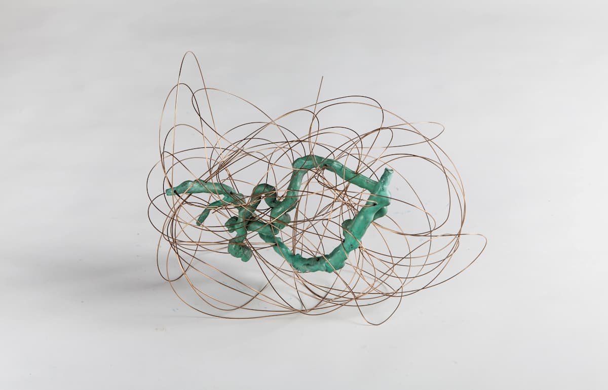 Korapiloa by Alexandra Harley  Image: Bronze wire zips, wraps around and occasionally piercing two bronze, patinated forms. The two heavy forms are held aloft and static while the slim and more delicate wire races about creating a contrasting energy.   