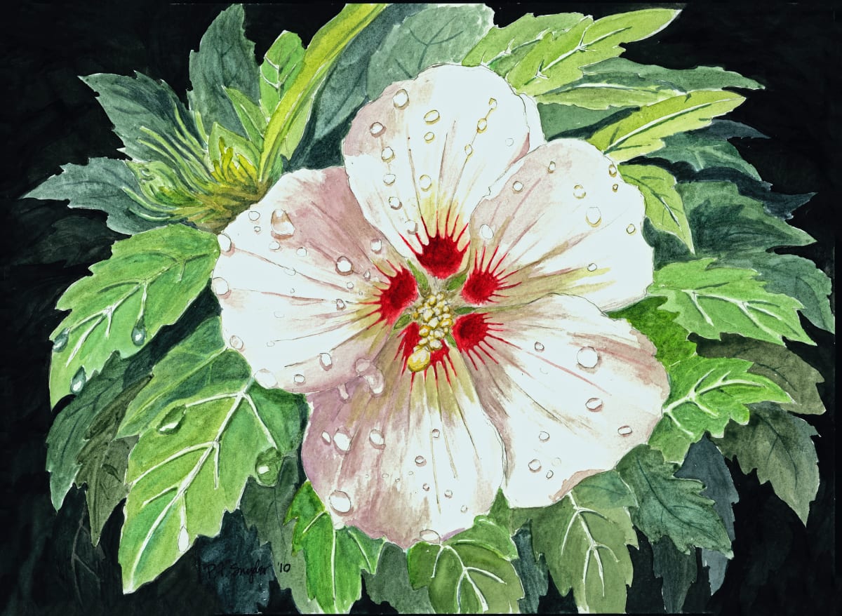 Rose of Sharon by Peter F. Snyder III  Image: Rose of Sharon