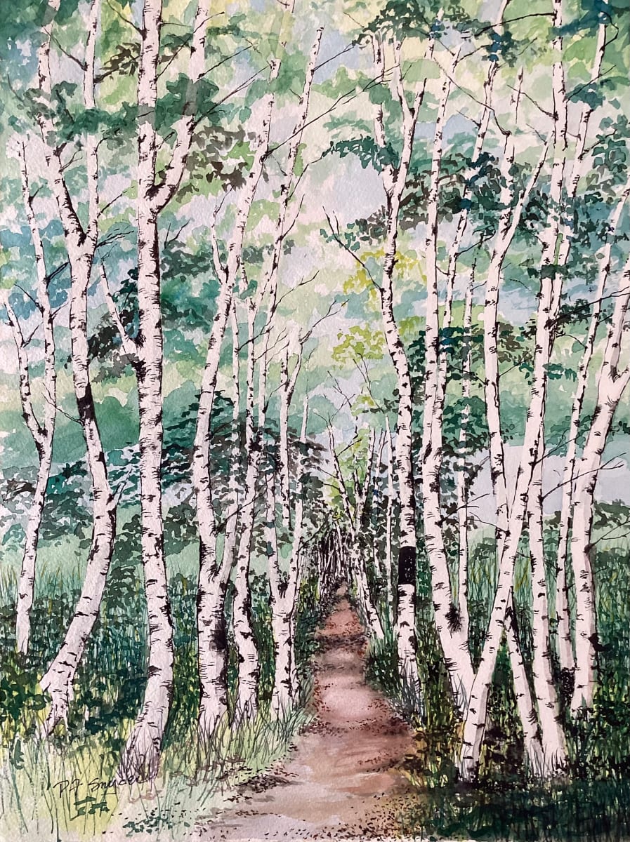 Maine Birches by Peter F. Snyder III  Image: Maine Birches