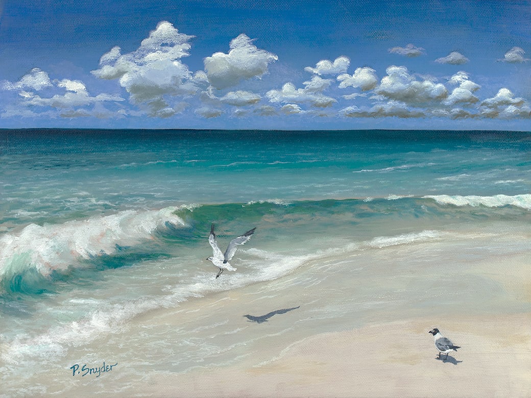 Pristine by Peter F. Snyder III  Image: Pristine