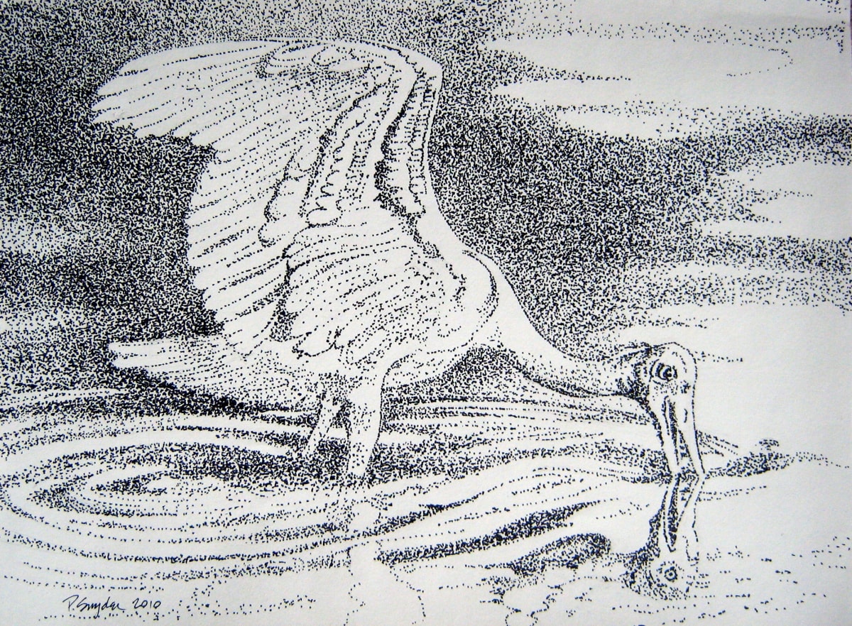 Water Bird by Peter F Snyder, Image 1.