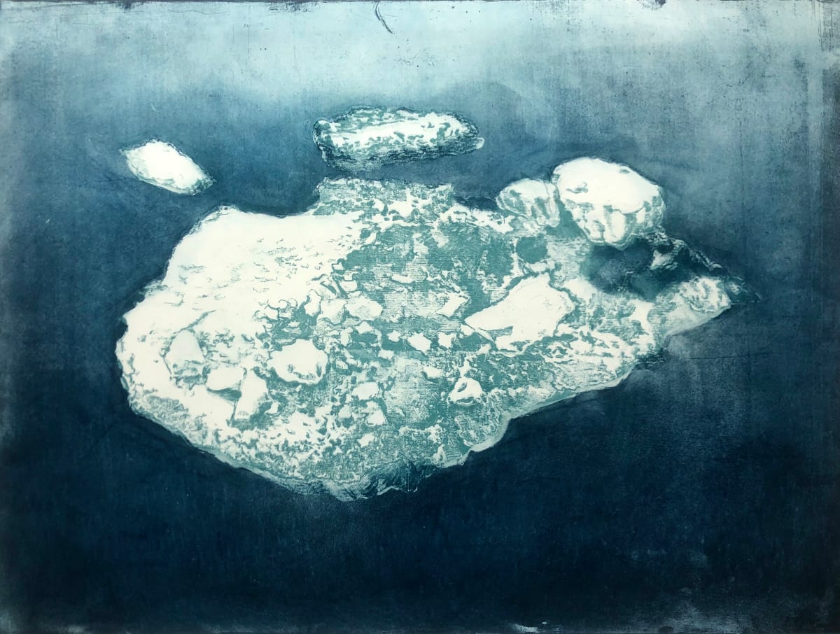 Pack Ice I #1 by Megan Broughton, Image 2.