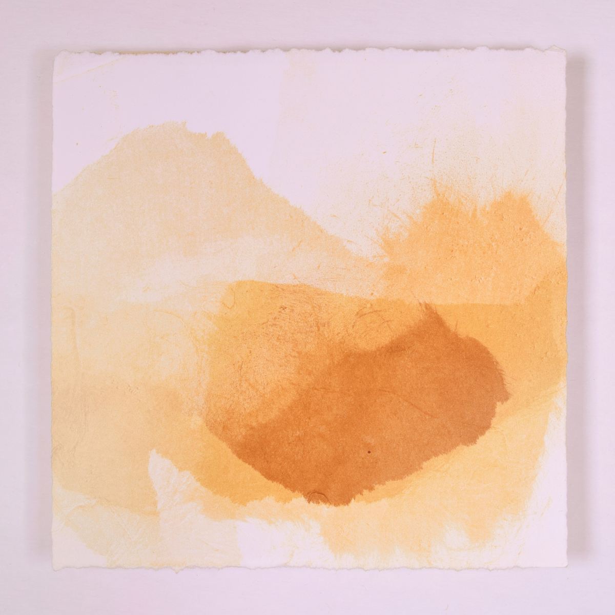 Dunes at Golden Hour #11 by Megan Broughton, Image 1.