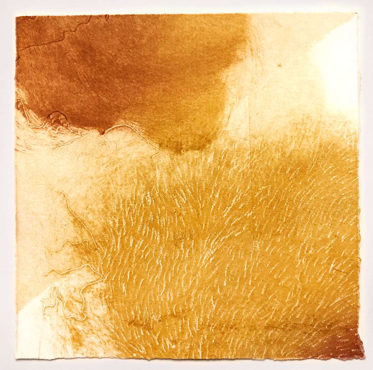 Dunes at Golden Hour #2 by Megan Broughton, Image 3.