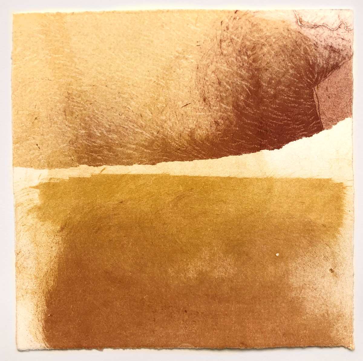 Dunes at Golden Hour #3 by Megan Broughton, Image 2.