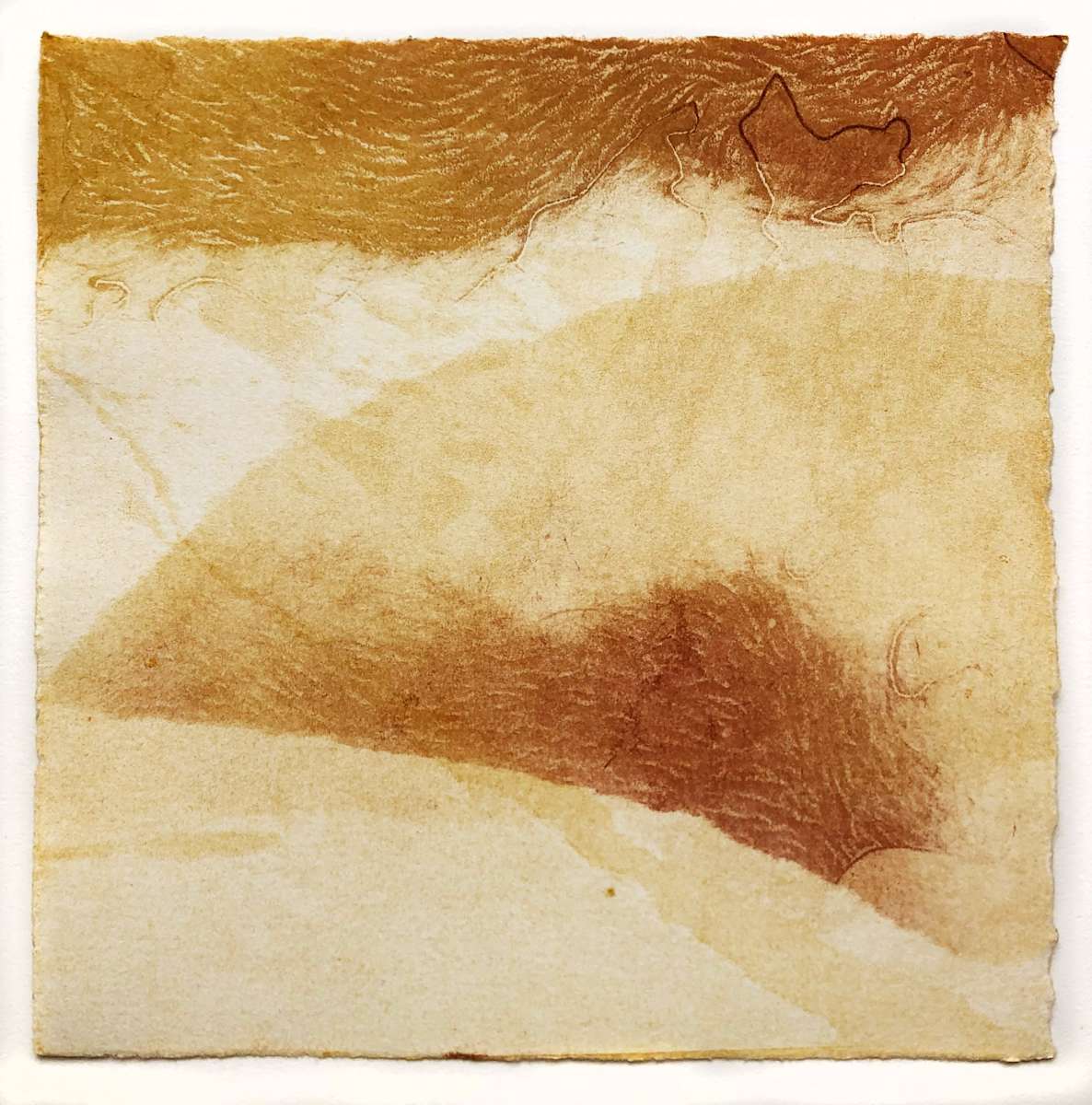 Dunes at Golden Hour #4 by Megan Broughton, Image 2.