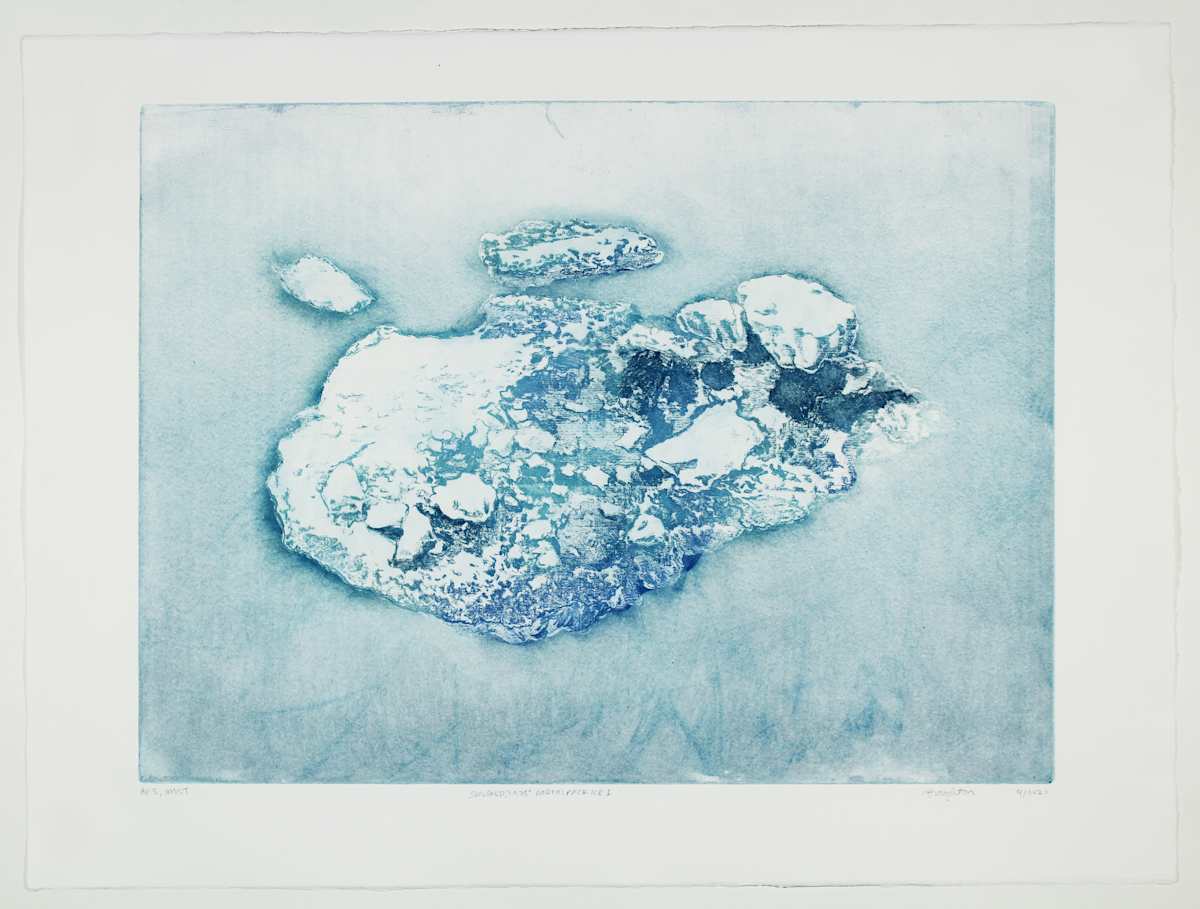 Pack Ice I #5 by Megan Broughton