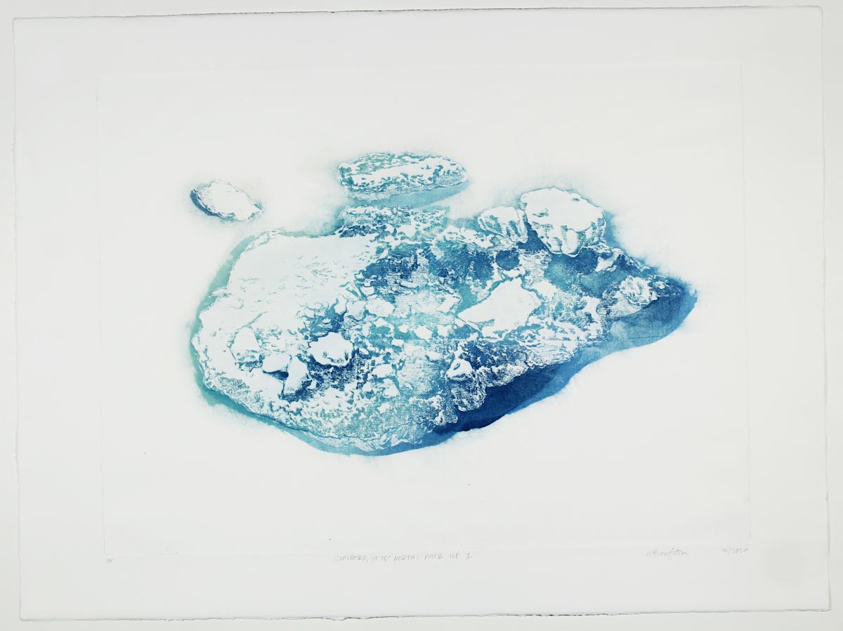 Pack Ice I #6 by Megan Broughton