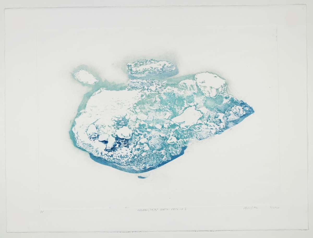 Pack Ice I #7 by Megan Broughton