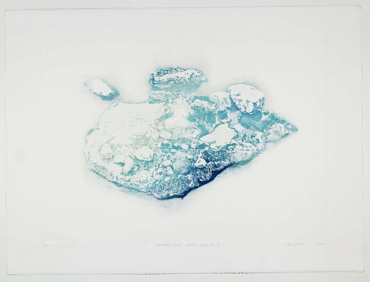 Pack Ice I #8 by Megan Broughton