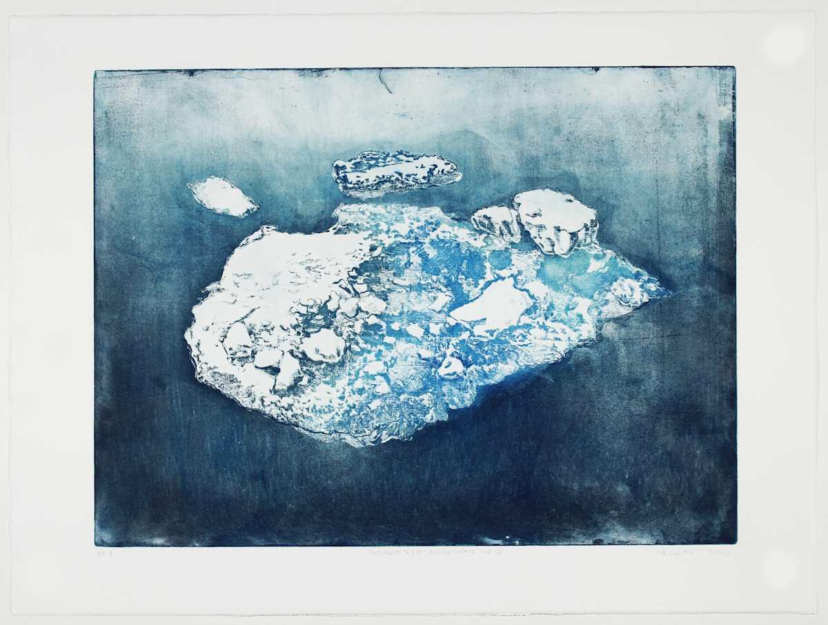 Pack Ice I #4 by Megan Broughton, Image 2.
