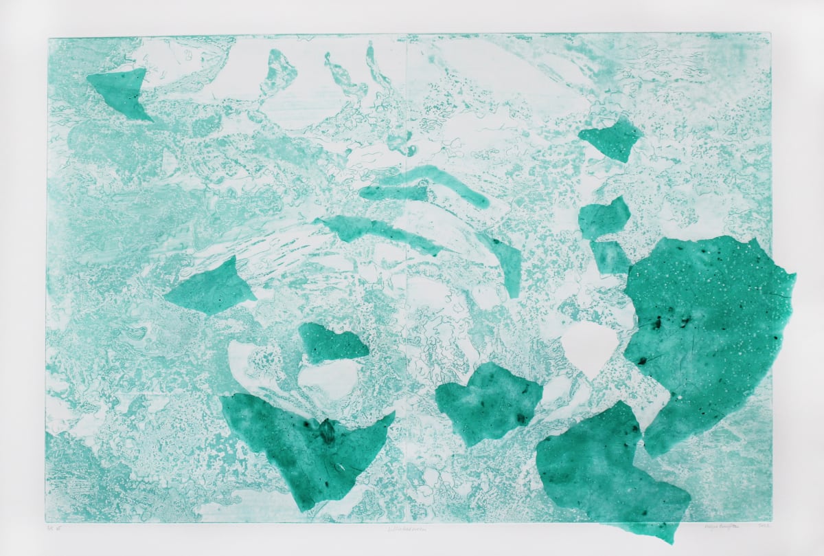 Lilliehöökbreen 3/5 by Megan Broughton