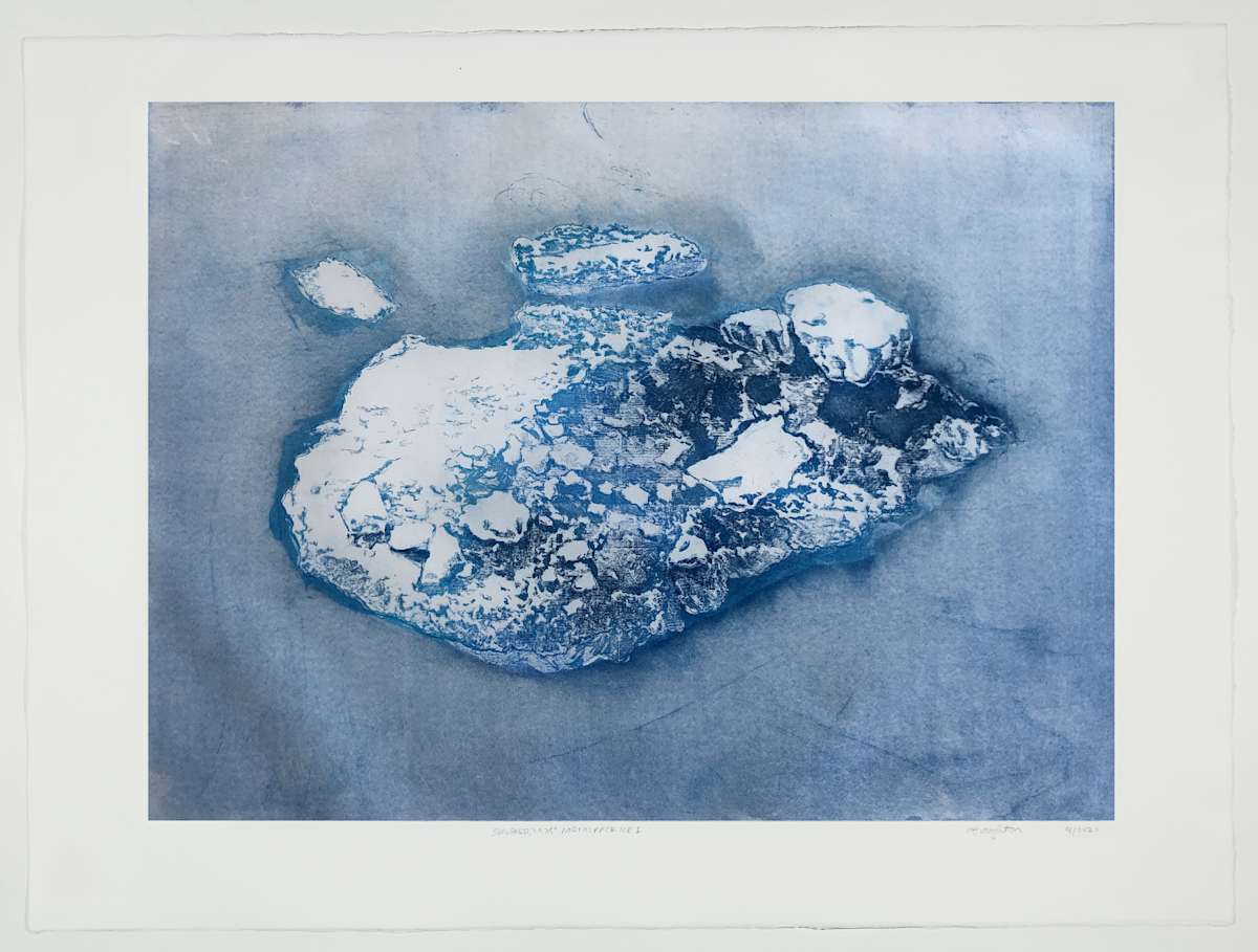 Pack Ice I #18 by Megan Broughton