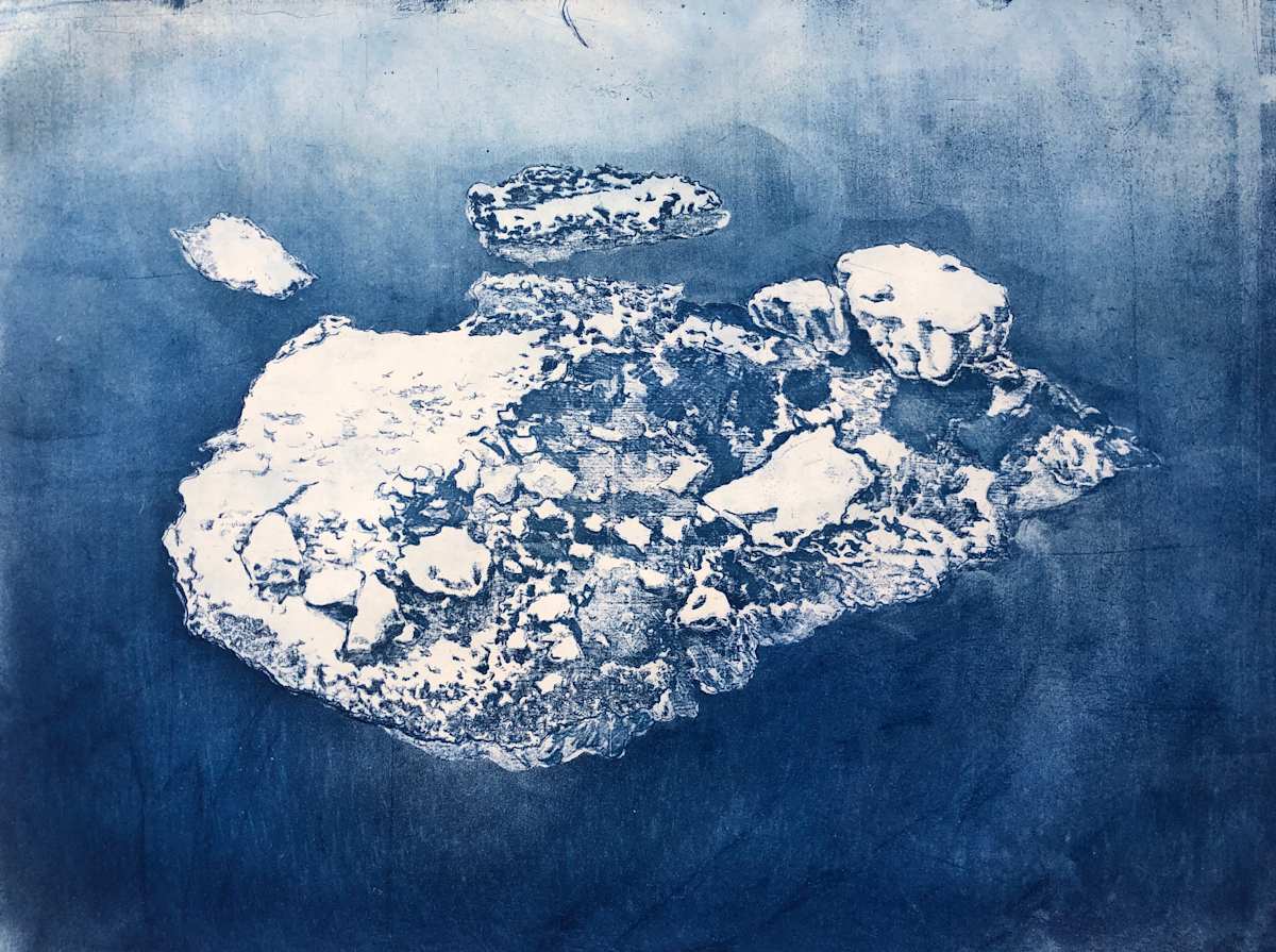 Pack Ice I #12 by Megan Broughton