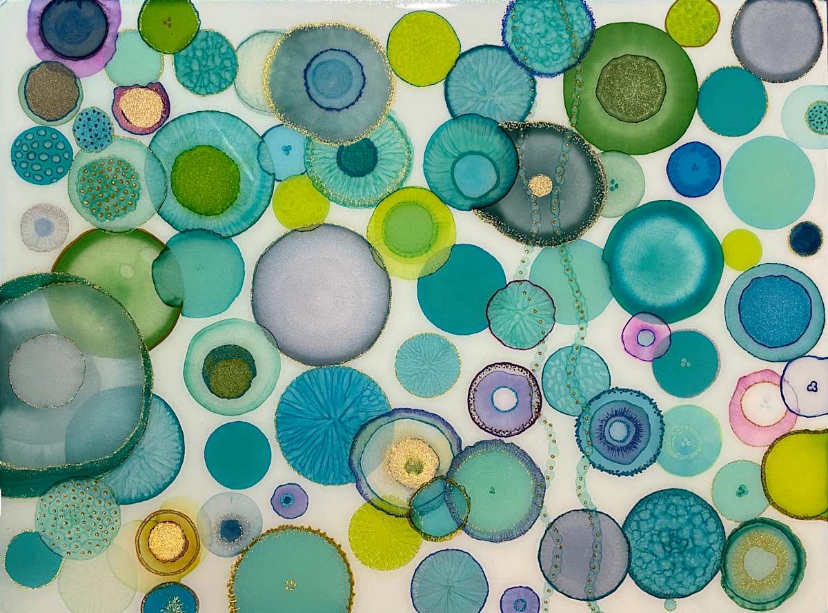 Chrysaora fuscescens by Melissa Flattery 