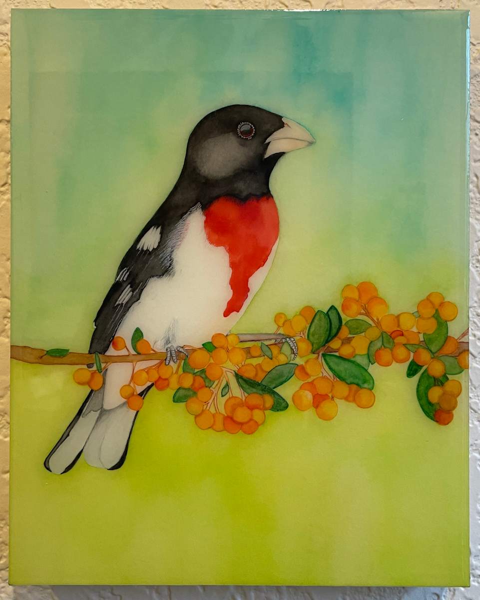 Rose-Breasted Grosbeak II by Melissa Flattery 