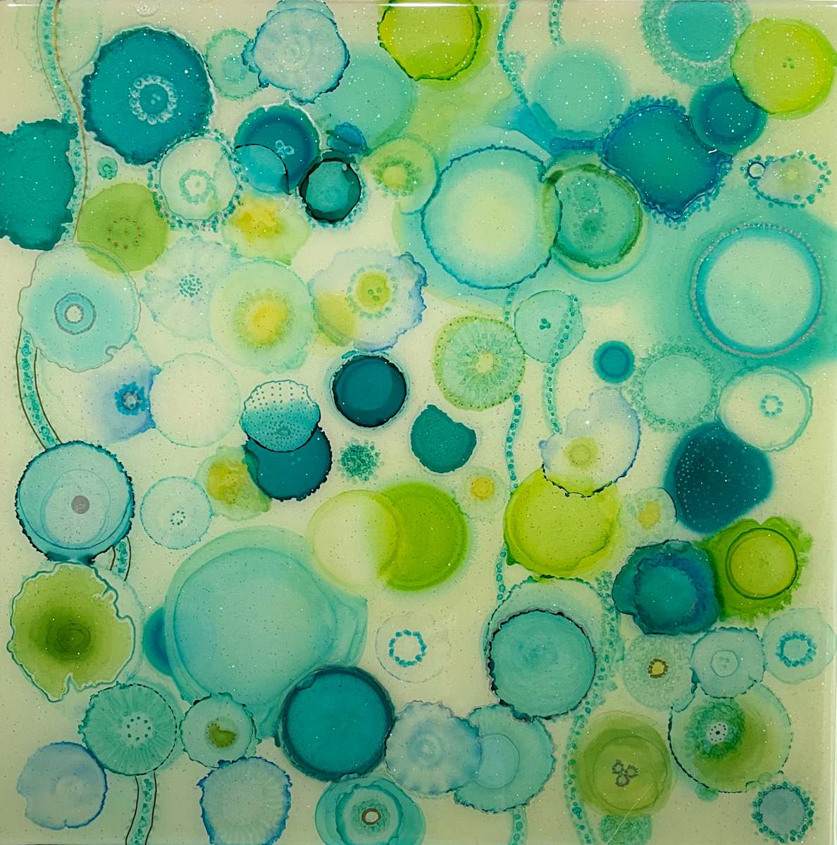 Aurelia aurita by Melissa Flattery 