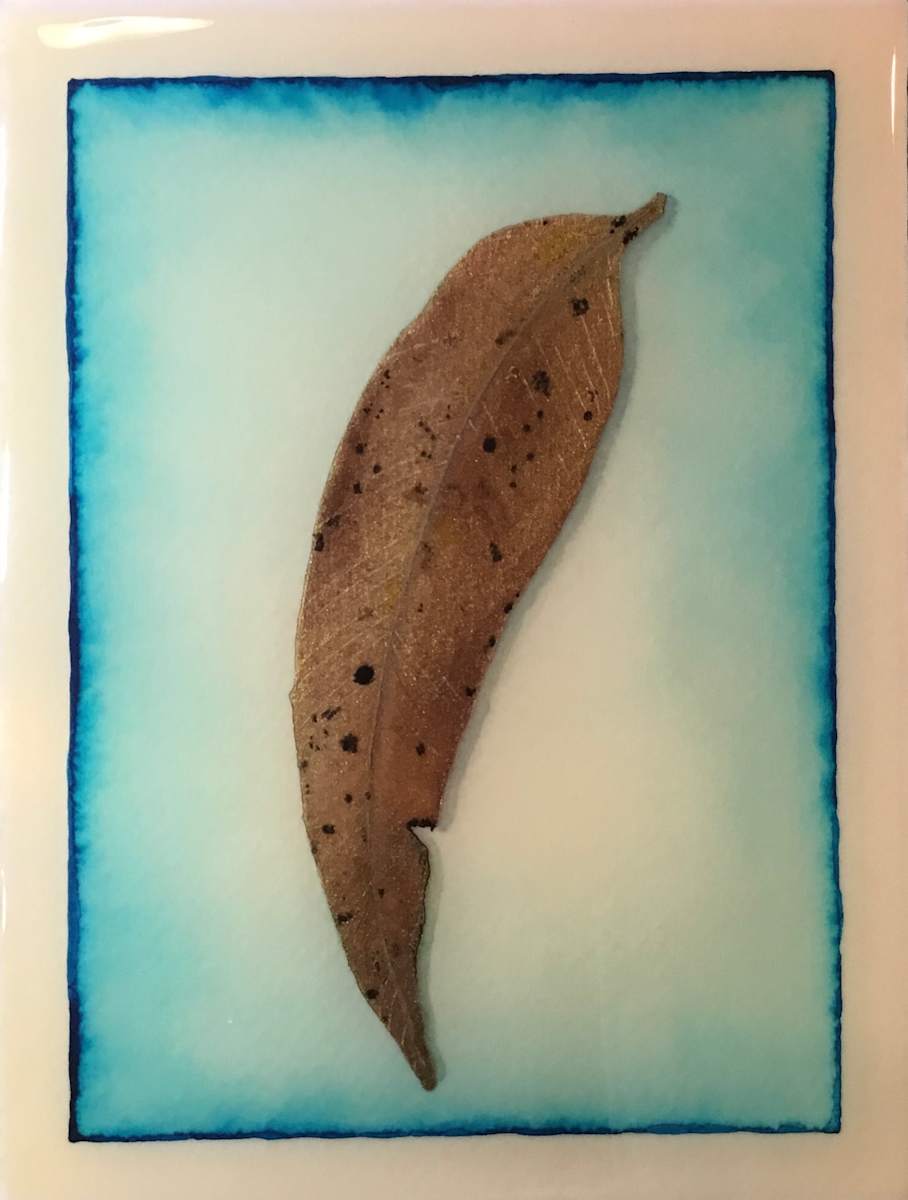 Obliqua by Melissa Flattery 