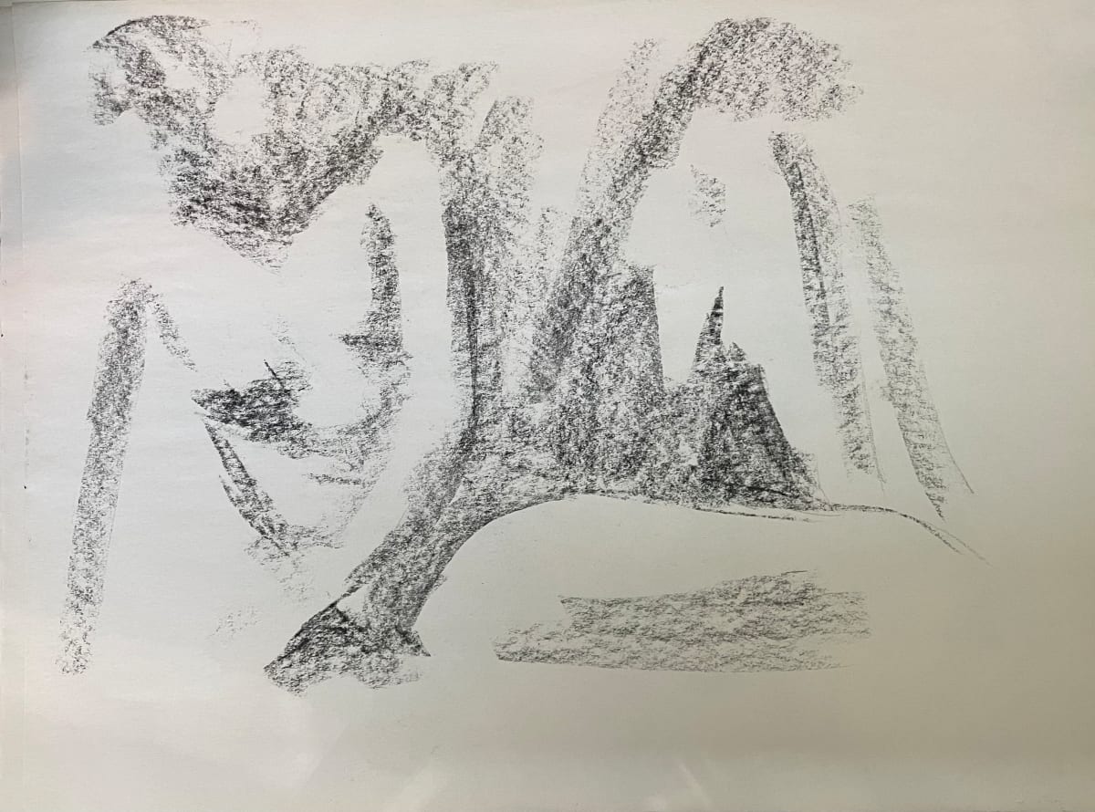 Shadow Charcoal Study by Jana Renée 