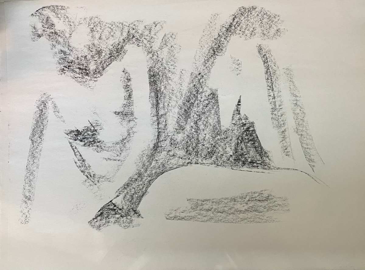 Shadow Charcoal Study by Jana Renée, Image 9.