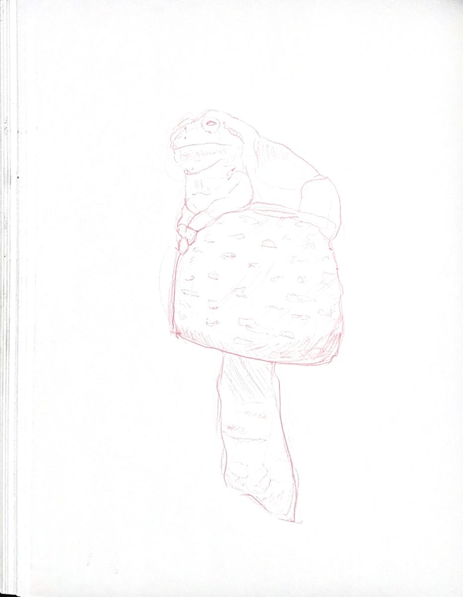 Toadstool by Audrey Laine Studios 