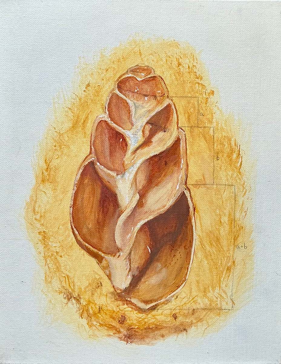 Shell by Audrey Laine Studios 