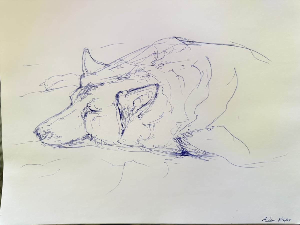 Oakley by Audrey Laine Studios, Image 2.