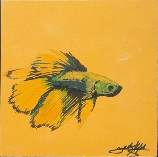 Betta Fish by Jana Renée, Image 18.