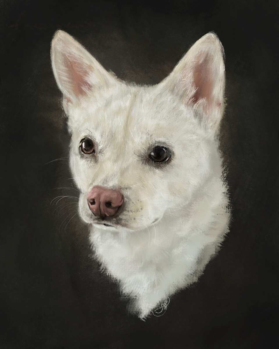 Suqa by Jana Renée, Image 1.