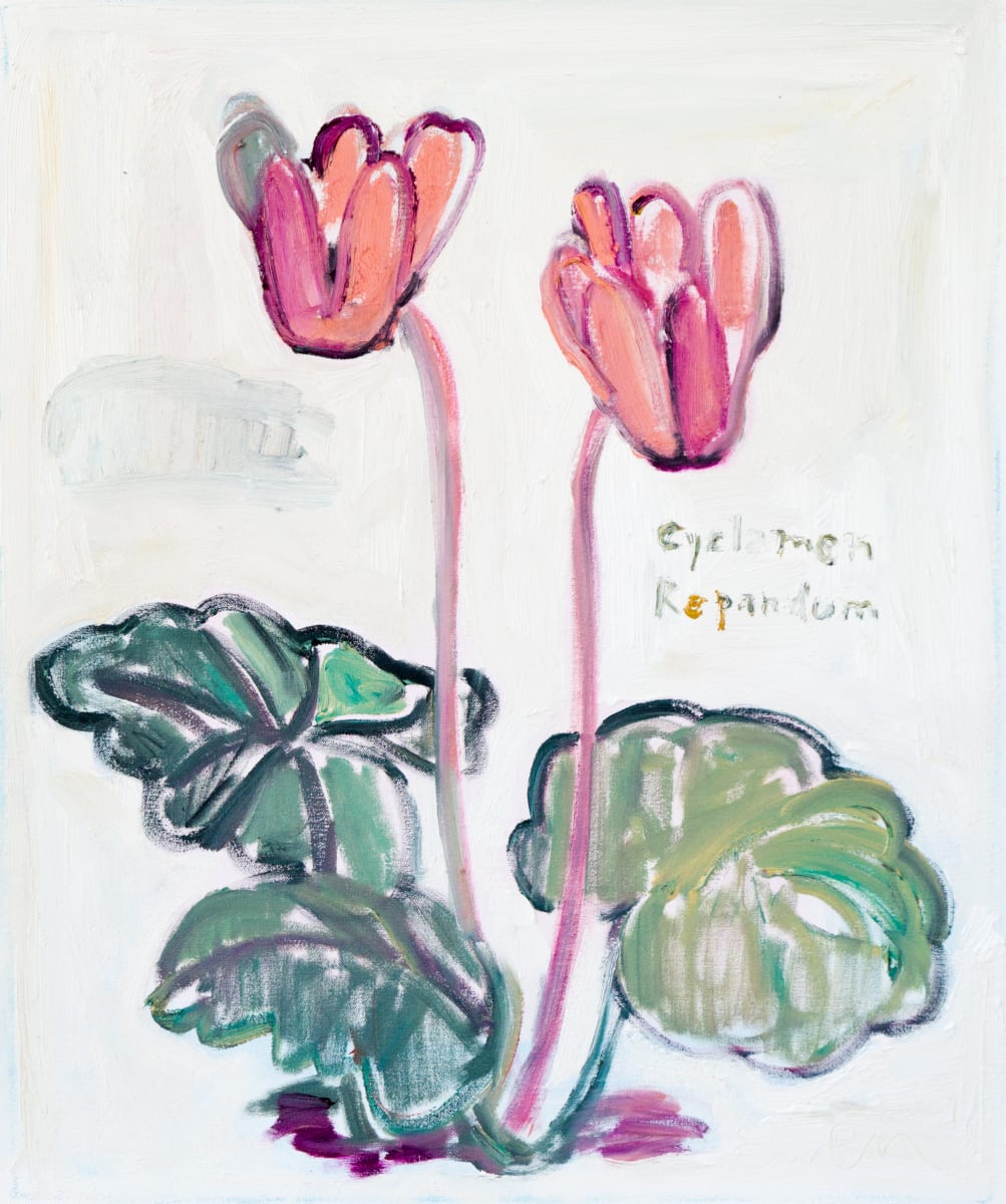 Cyclamen Repandum by Anne-Louise Ewen 
