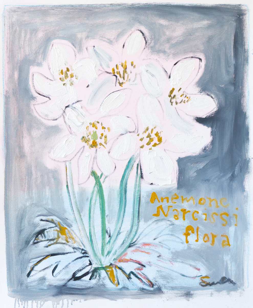 Anemone Narcissiflora, Image 4.