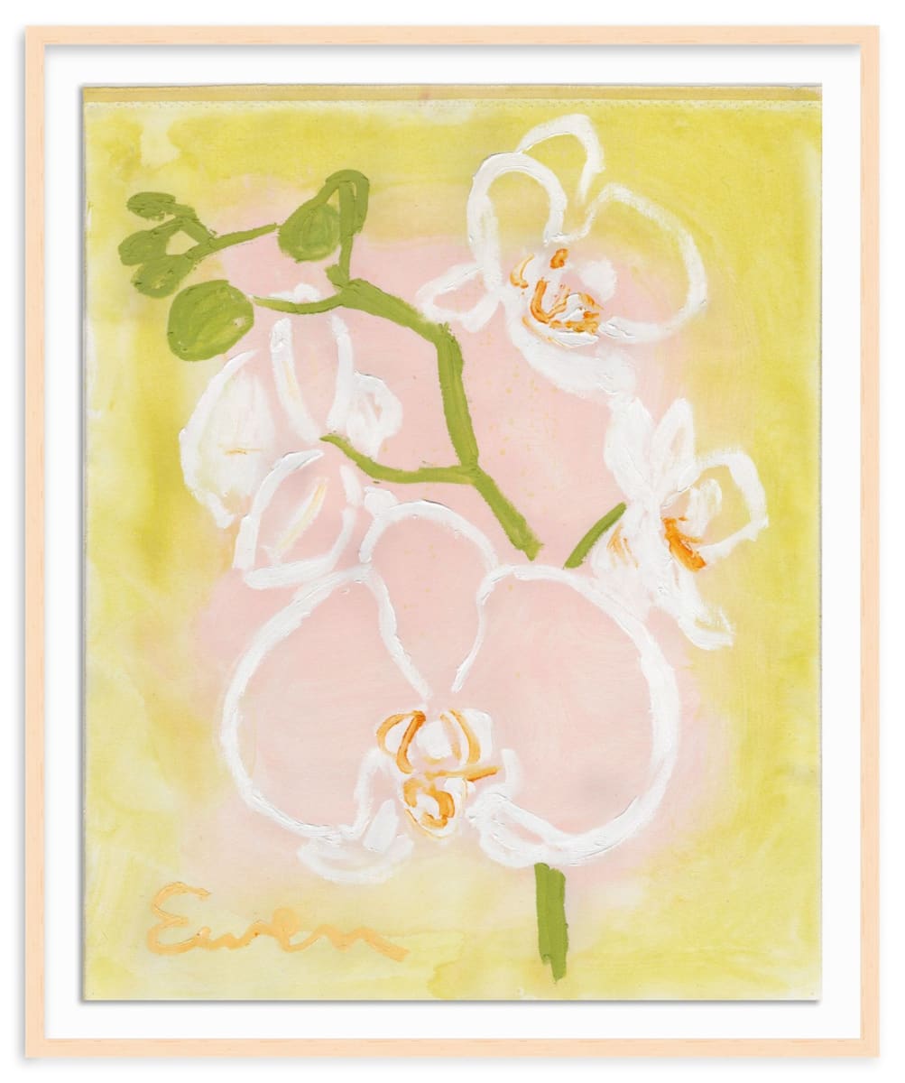 Orchids (No.8) by Anne-Louise Ewen, Image 1.