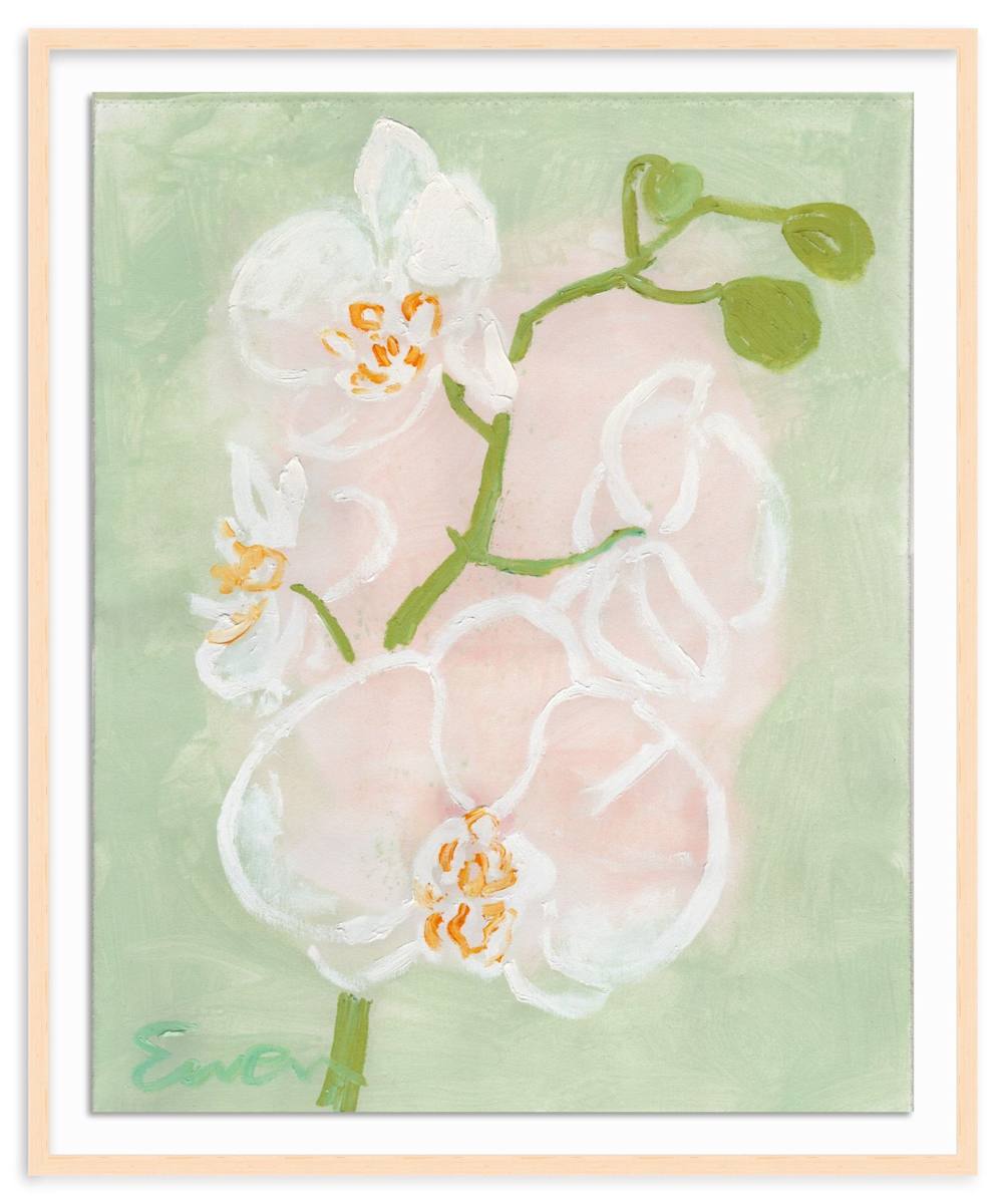 Orchids (No.4) by Anne-Louise Ewen, Image 1.