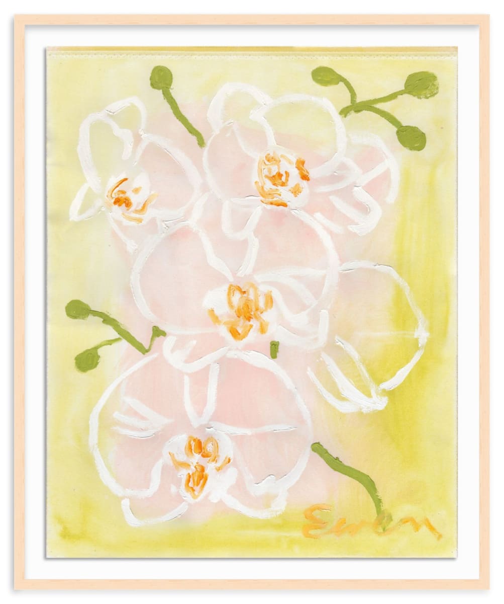 Orchids (No.7) by Anne-Louise Ewen, Image 1.