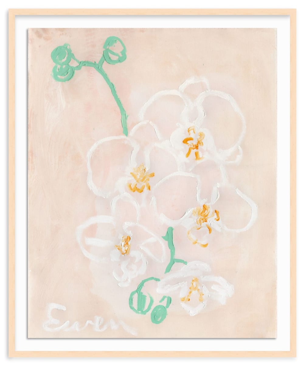 Orchids (No.2) by Anne-Louise Ewen, Image 1.
