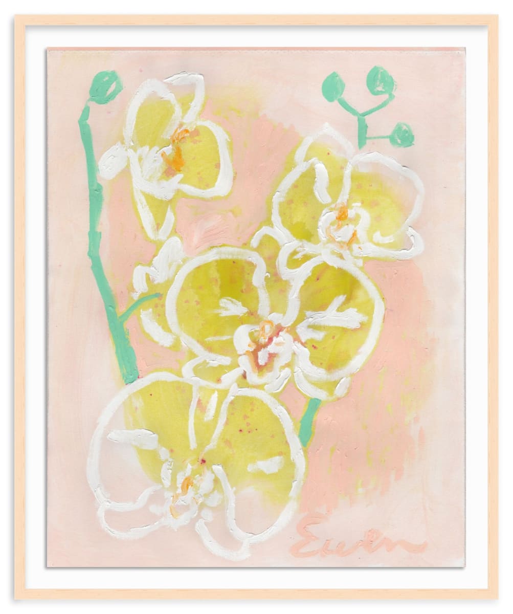 Orchids (No.5) by Anne-Louise Ewen 