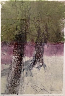 2006-3-1-1WinterShade_amhovy_10 