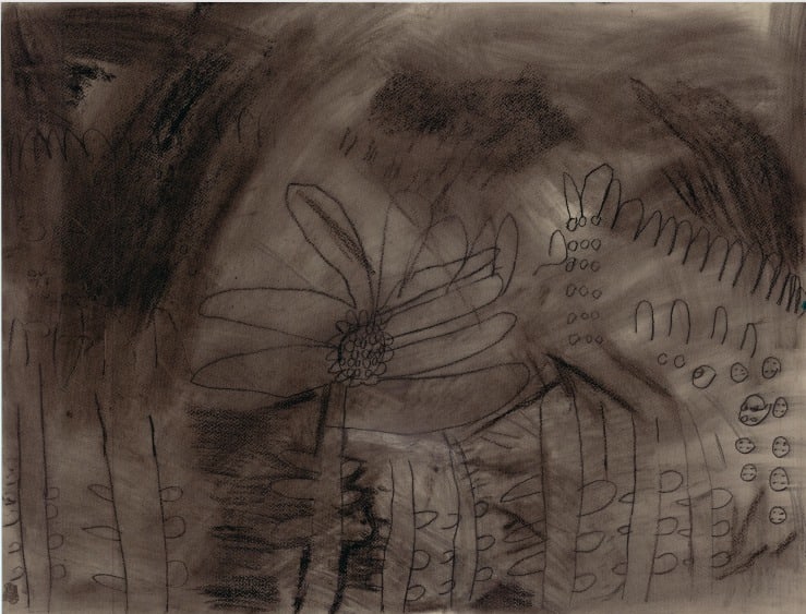 Charcoal 3 by Bonnie Kaehler 