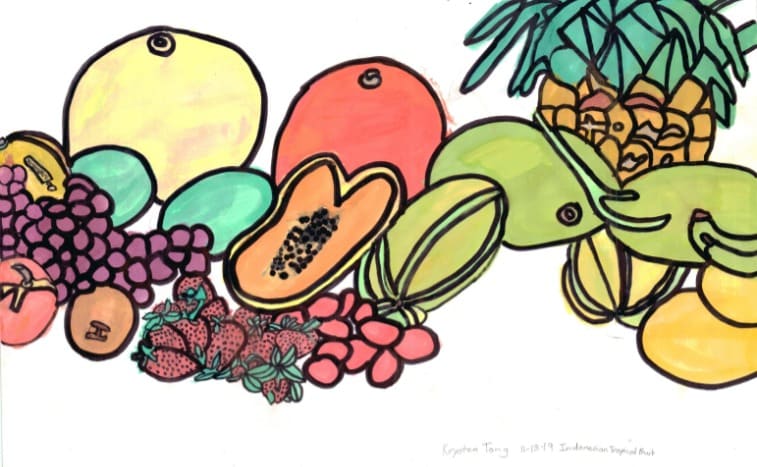 Indonesian Tropical Fruit by Krysten Tong 