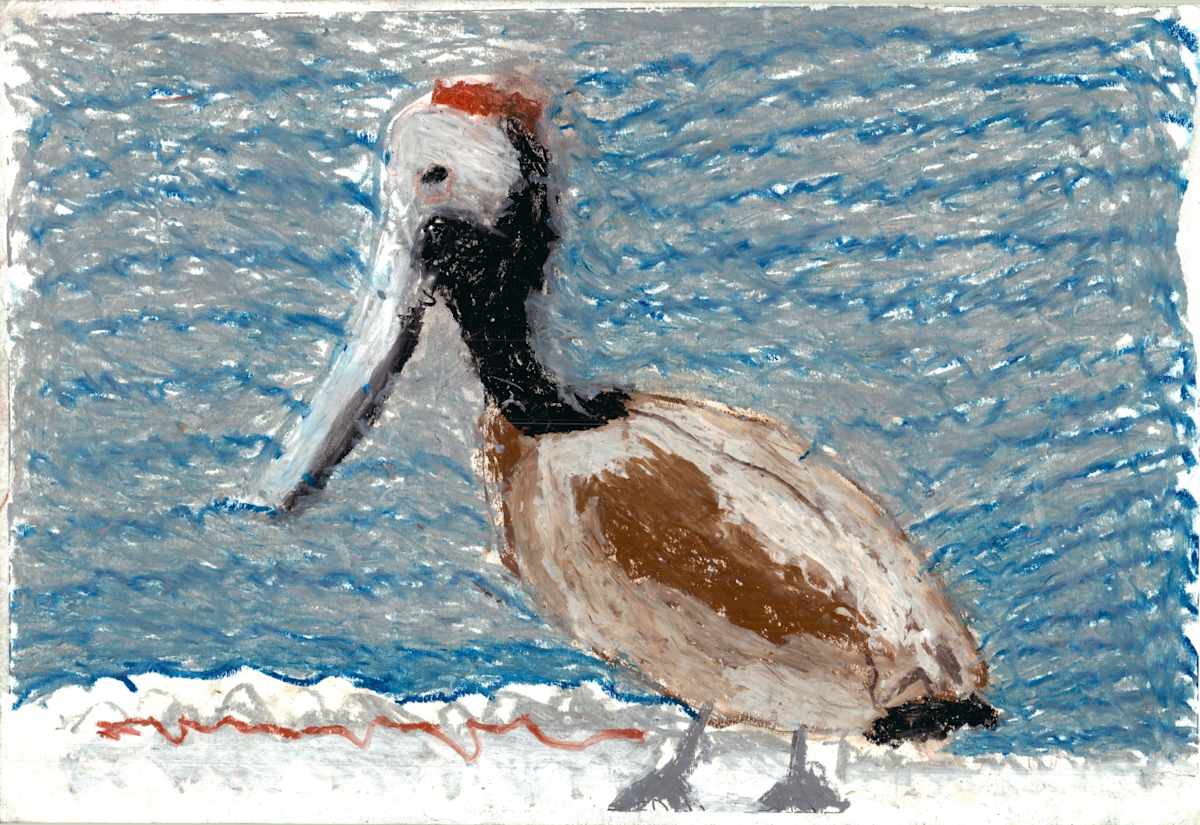 Pelican by Mickey Daly 