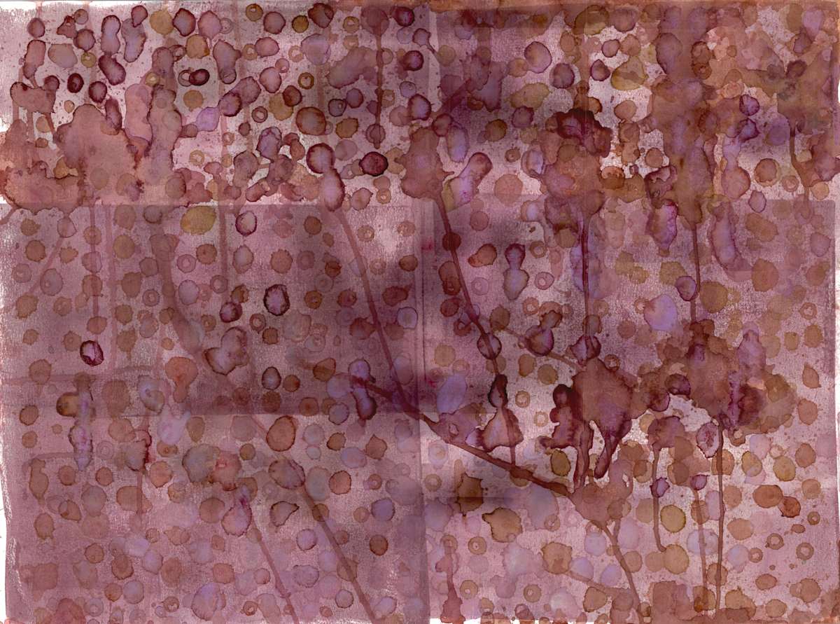 Untitled 157 by Bonnie Kaehler 