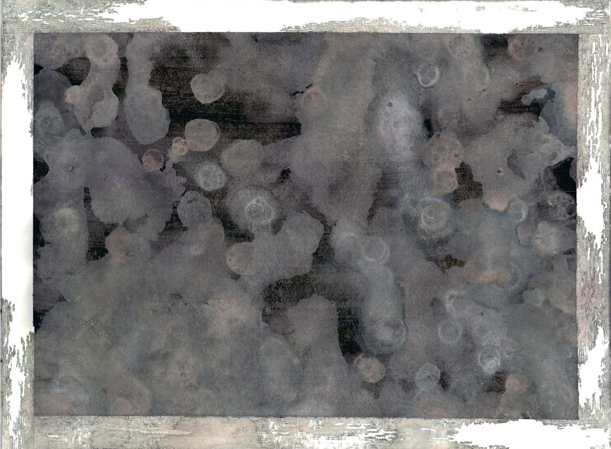 Untitled 161 by Bonnie Kaehler 