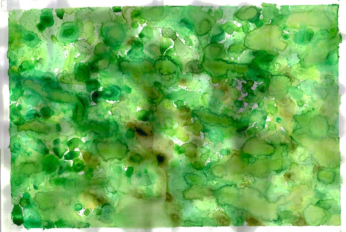 Untitled 162 by Bonnie Kaehler 
