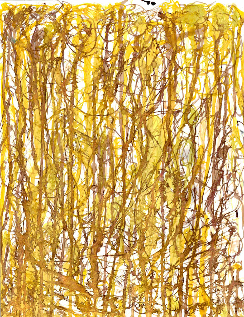 Untitled 164 by Leonardo Contreras 