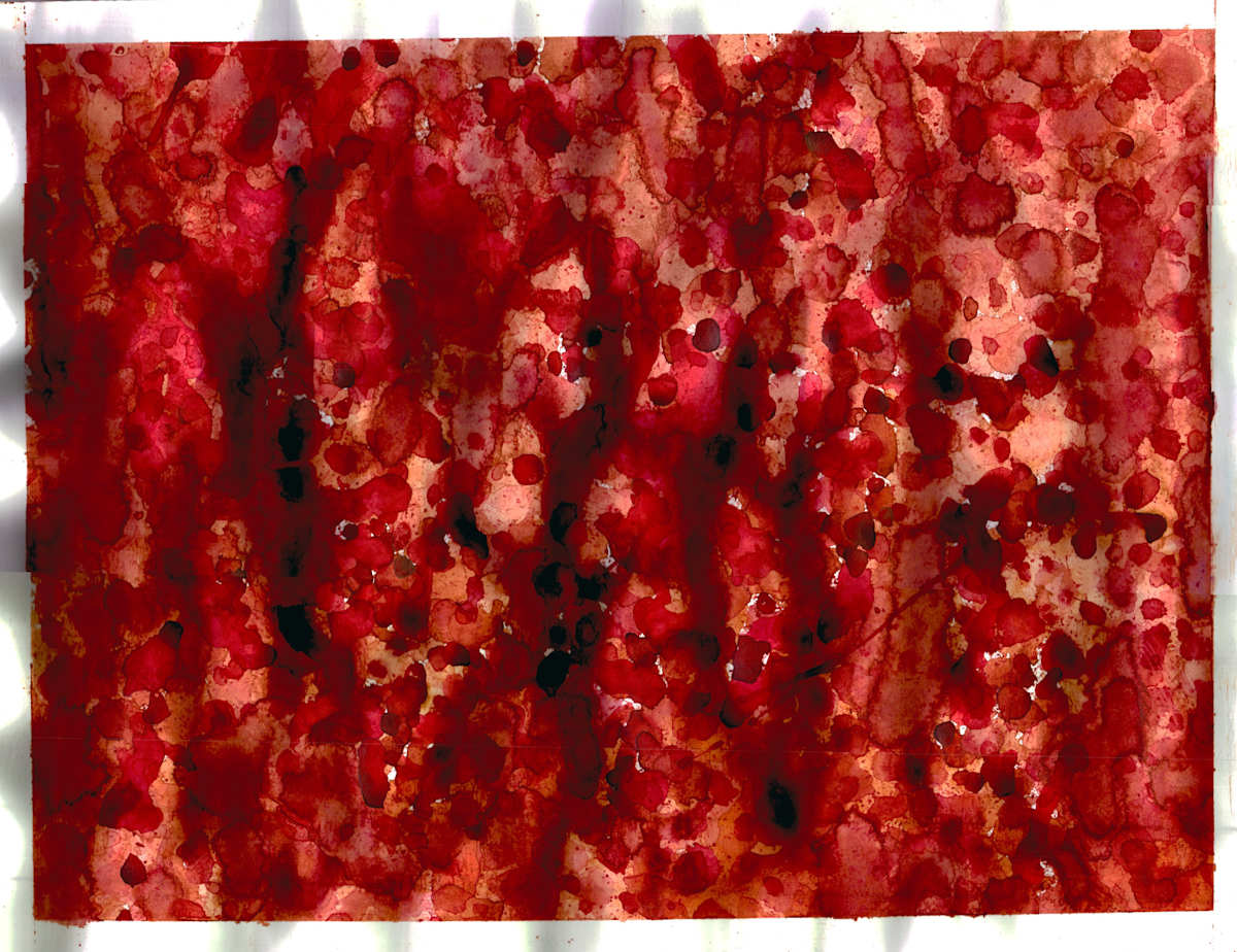 Untitled 167 by Bonnie Kaehler 