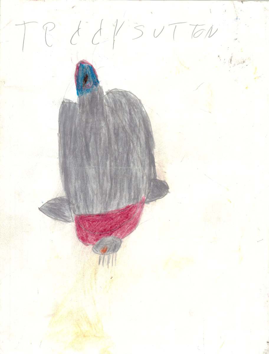 Untitled 4 by Teddy Sutton 