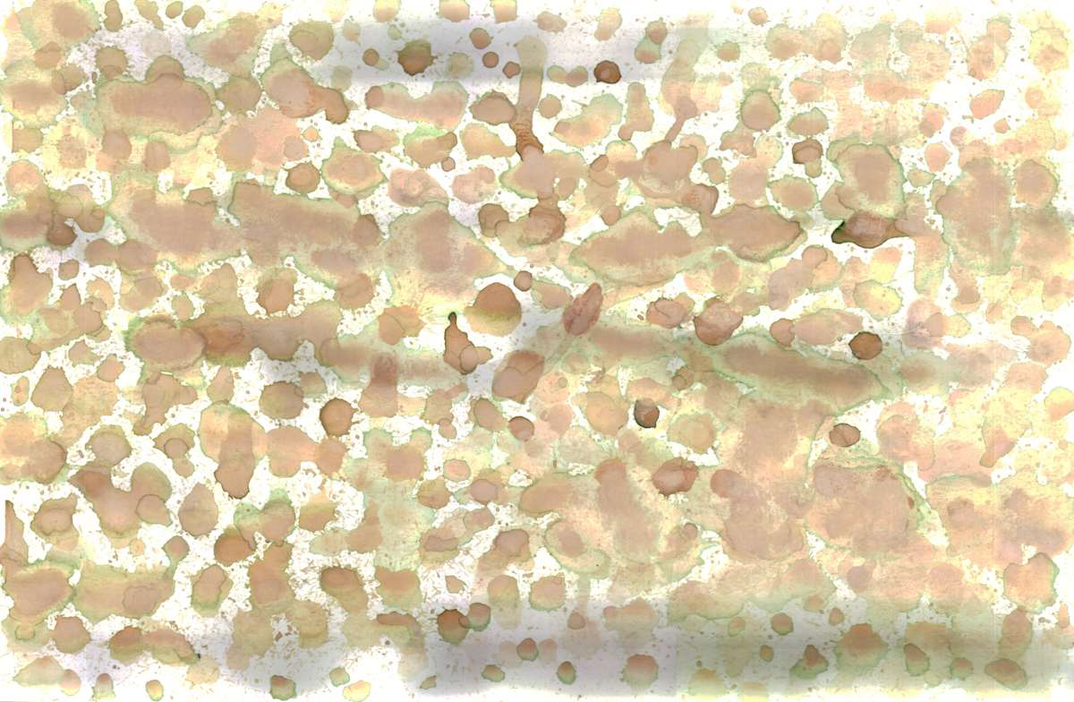 Untitled 77 by Bonnie Kaehler 